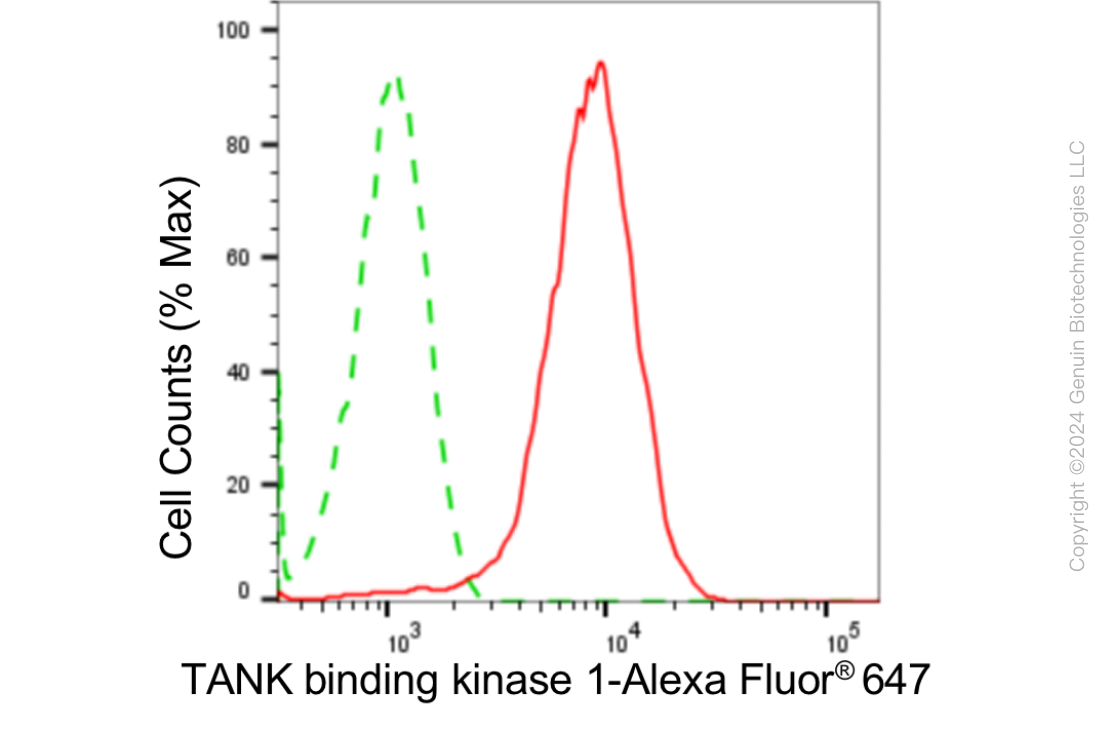 FC - KD-Validated Anti-TANK Binding Kinase 1 Rabbit Monoclonal Antibody AGI1845